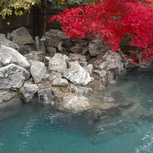 New Deck, Tile & Pebble Finish for Inground Pools