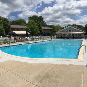 Commercial New Apt. Complex Pool: Coping, tile & plaster